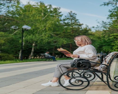 Woman reading a book on a bench in a sunny quiet park